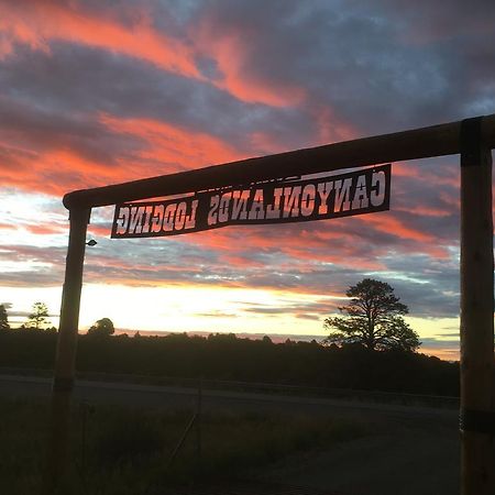 Lupine Cabin, Glamour Camping, Stunning Skies And Sunrise Views Монтічелло Екстер'єр фото